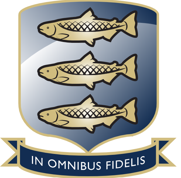 Newport Girls' High School Logo